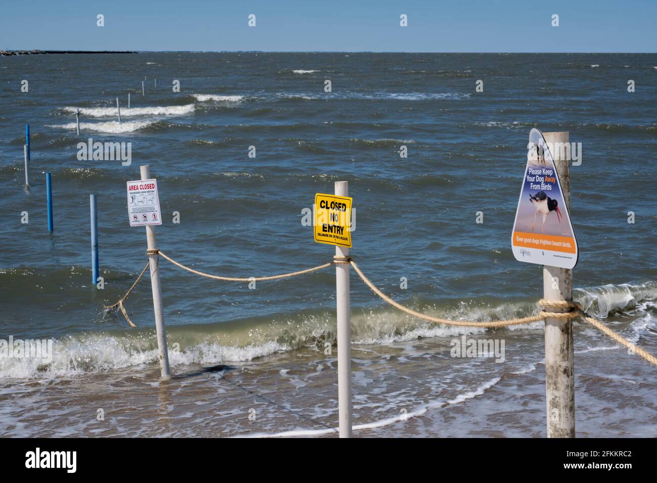 Mehrere Schilder erinnern die Strandbesucher an die Schließung von Gebieten und daran, dass Hunde die Vögel in den Dünen im Cape Henloopen State Park, Delaware, nicht stören dürfen. Stockfoto