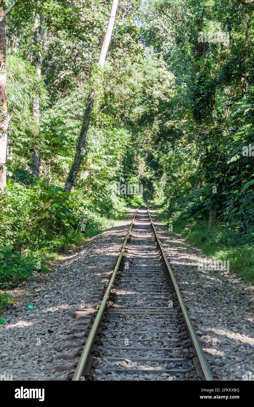 Bahngleise im Lowacherra National Park in der Nähe von Srimangal, Bangladesch Stockfoto