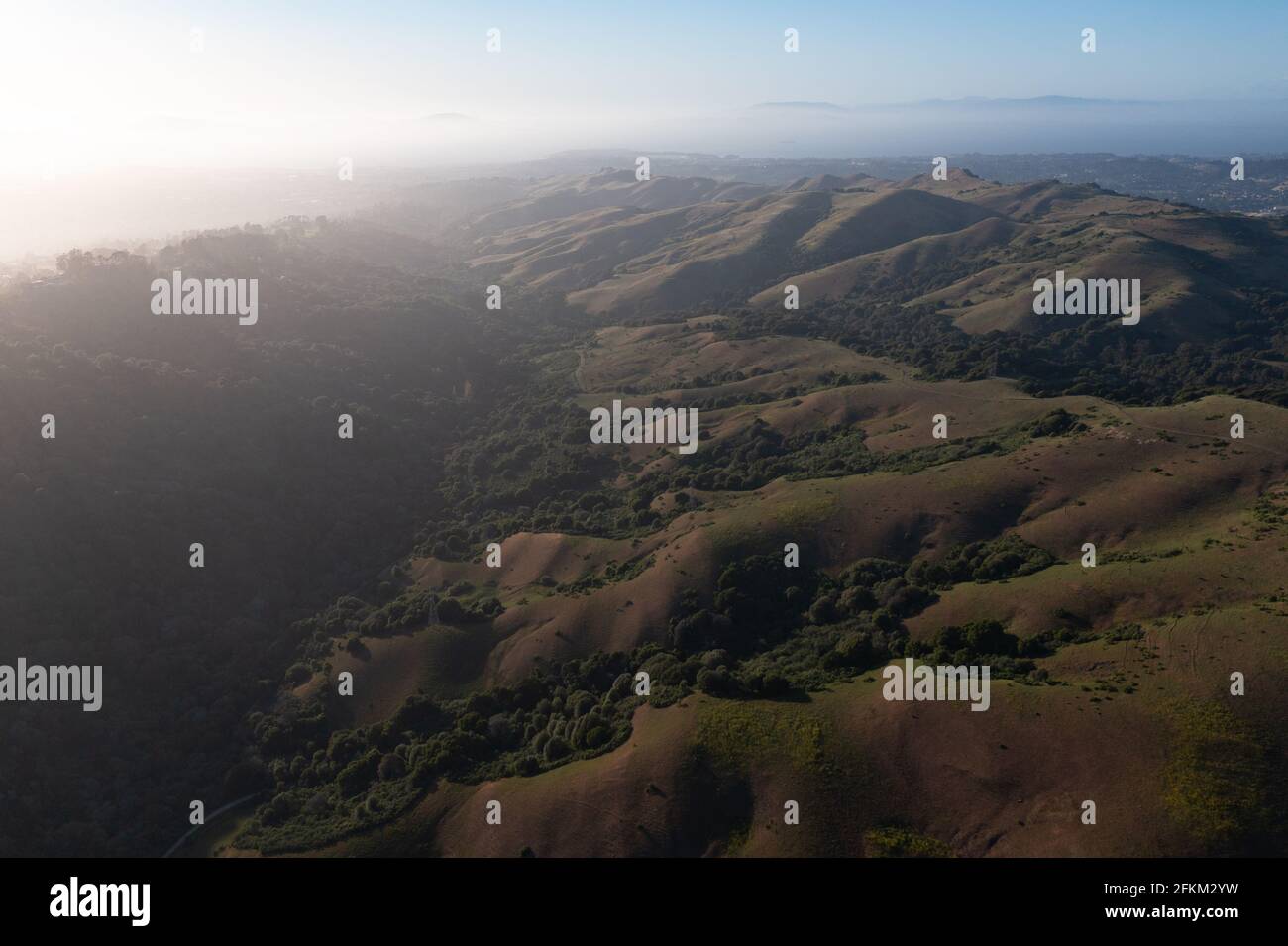 Die Sonne scheint am Abend auf den ruhigen, sanften Hügeln der East Bay, östlich der San Francisco Bay, Kalifornien. Dieses Gebiet grenzt an Oakland und Berkeley. Stockfoto