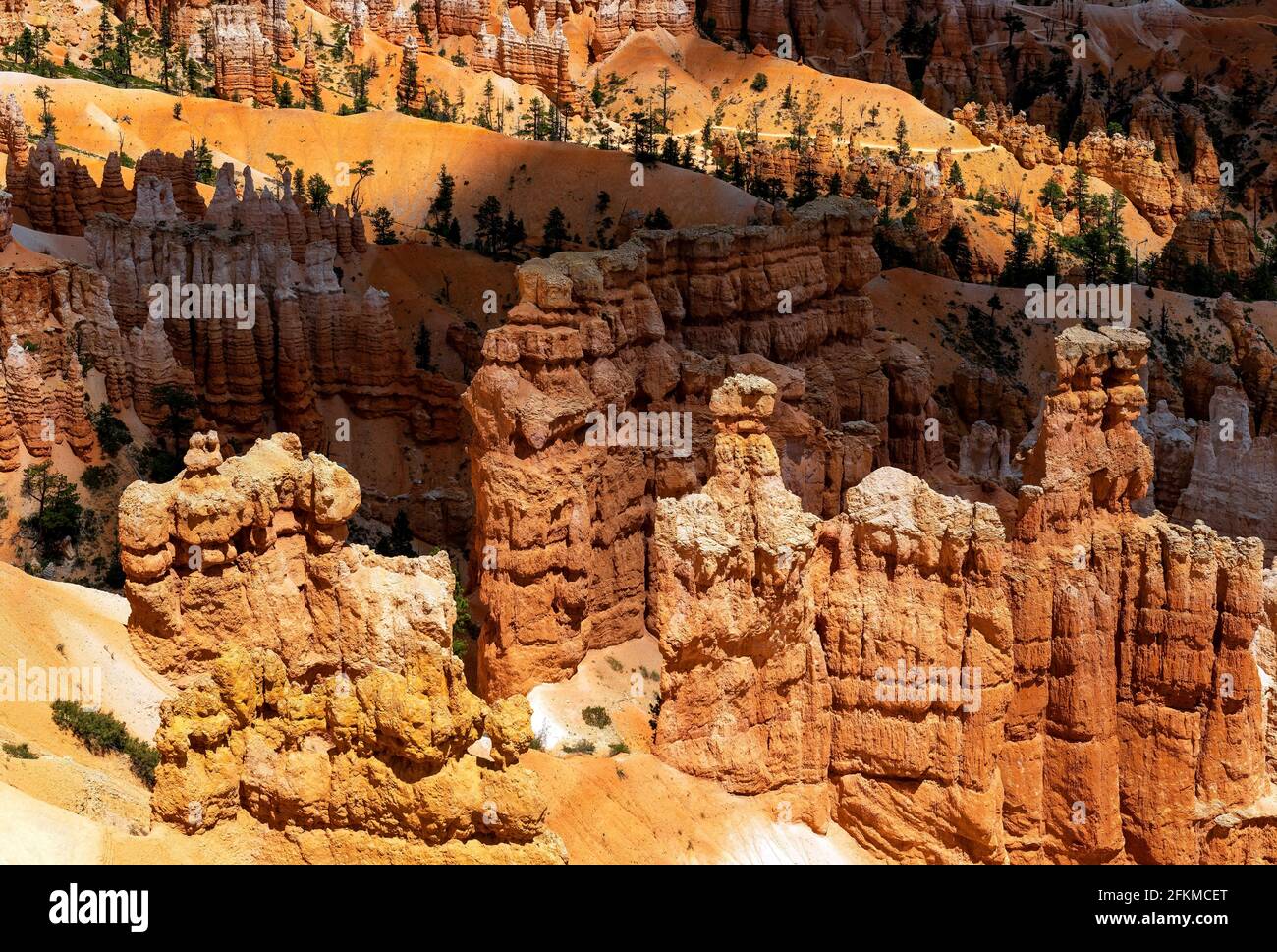 Hoodoo Sandsteinformationen, Bryce Canyon Nationalpark, Utah, Vereinigte Staaten von Amerika, USA. Stockfoto