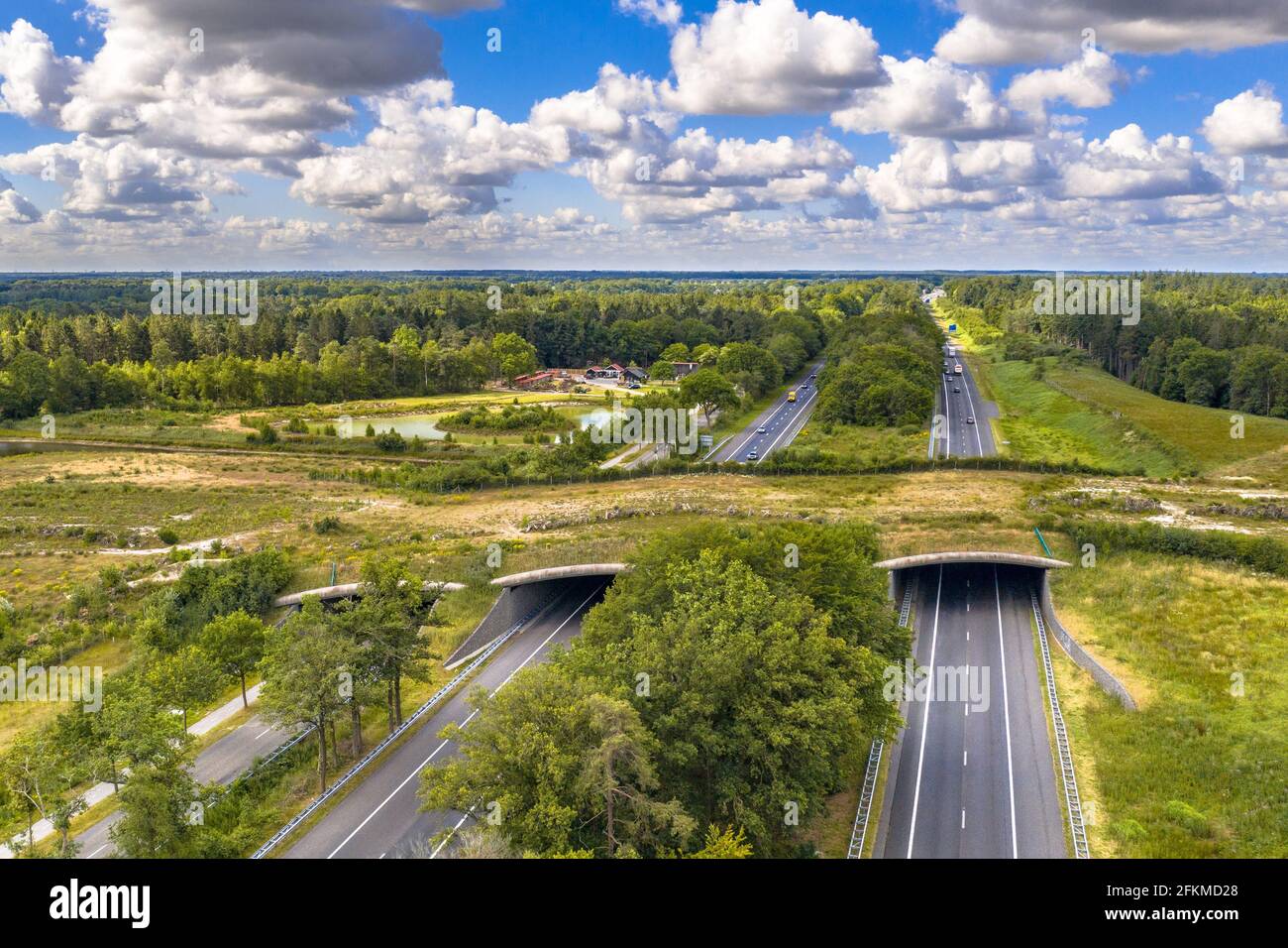Luftbild des Wildkreuzung Ecoduct im Dwingelderveld National Park, Beilen, Drenthe, Niederlande Stockfoto