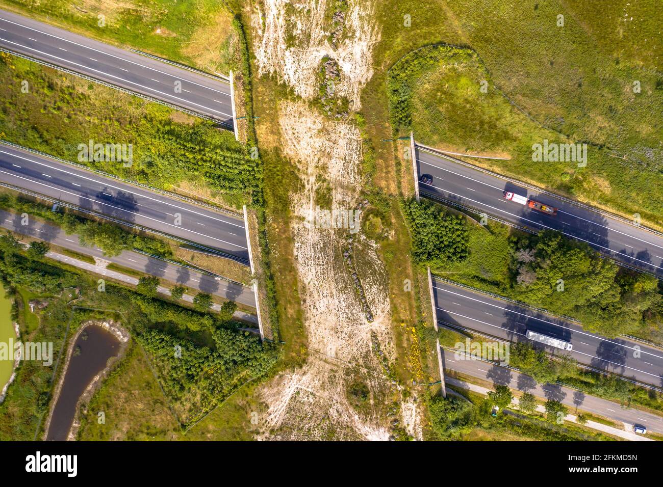 Top down Luftaufnahme der Ecoduct Wildlife Crossing im Dwingelderveld Nationalpark, Beilen, Drenthe, Niederlande Stockfoto