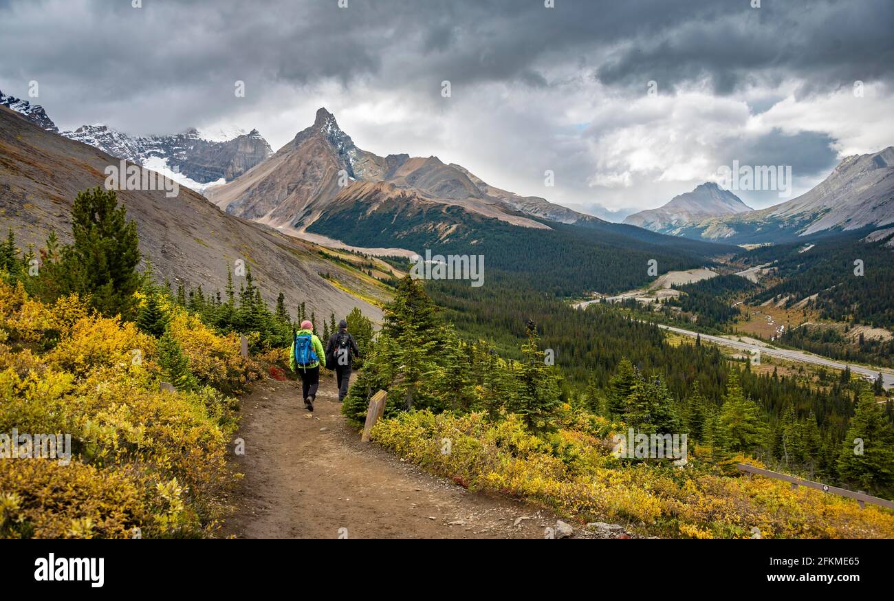 Zwei Wanderer zwischen herbstlichen Büschen, Blick auf den Sunwapta Pass, Berglandschaft und Gletscher im Herbst, Berge Hilda Peak und Mount Wilcox, Parker Stockfoto