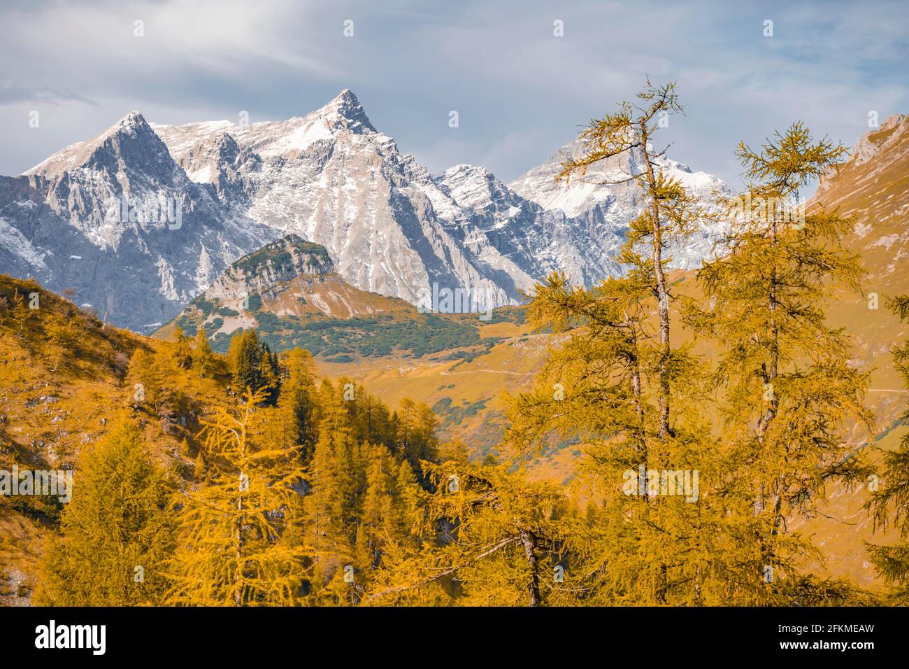 Berggipfel, gelbe Lärchen im Herbst, hinter Klatwasserkarspitz, Birkkarspitze, eng, Hinterriss Gemeinde, Karwendelgebirge, Karwendelgebirge Stockfoto