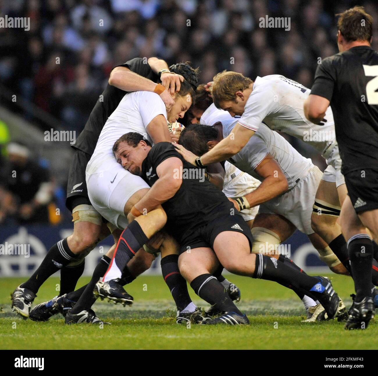 ENGLAND V NEUSEELAND IN TWICKENHAM 21/11/09. BILD DAVID ASHDOWN Stockfoto