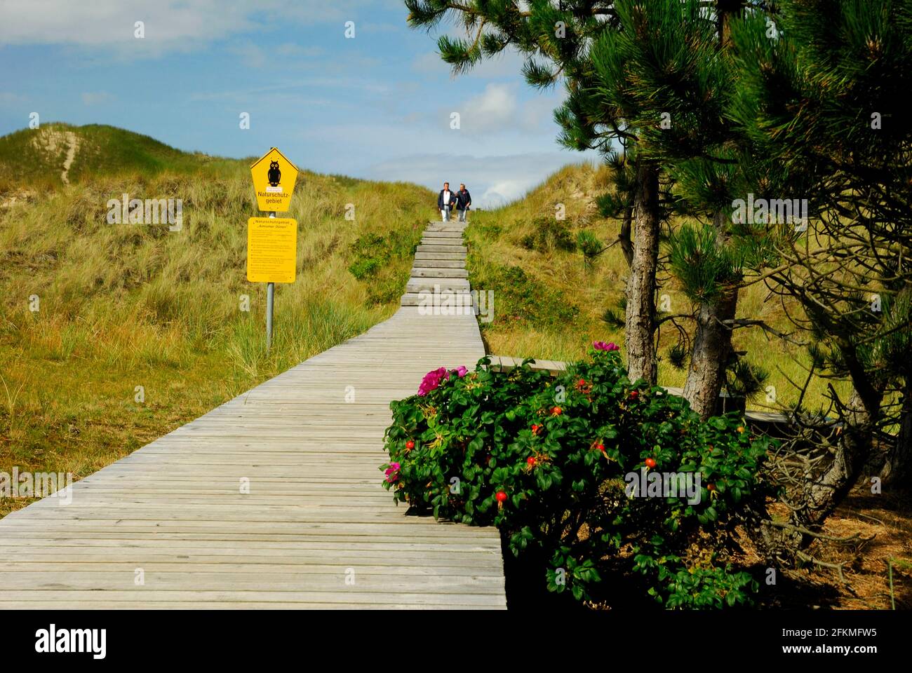 Bohlensteg, Naturschutzgebiet Amrumer Dünen, Amrum, Nordfriesland, Schleswig-Holstein, Deutschland Stockfoto