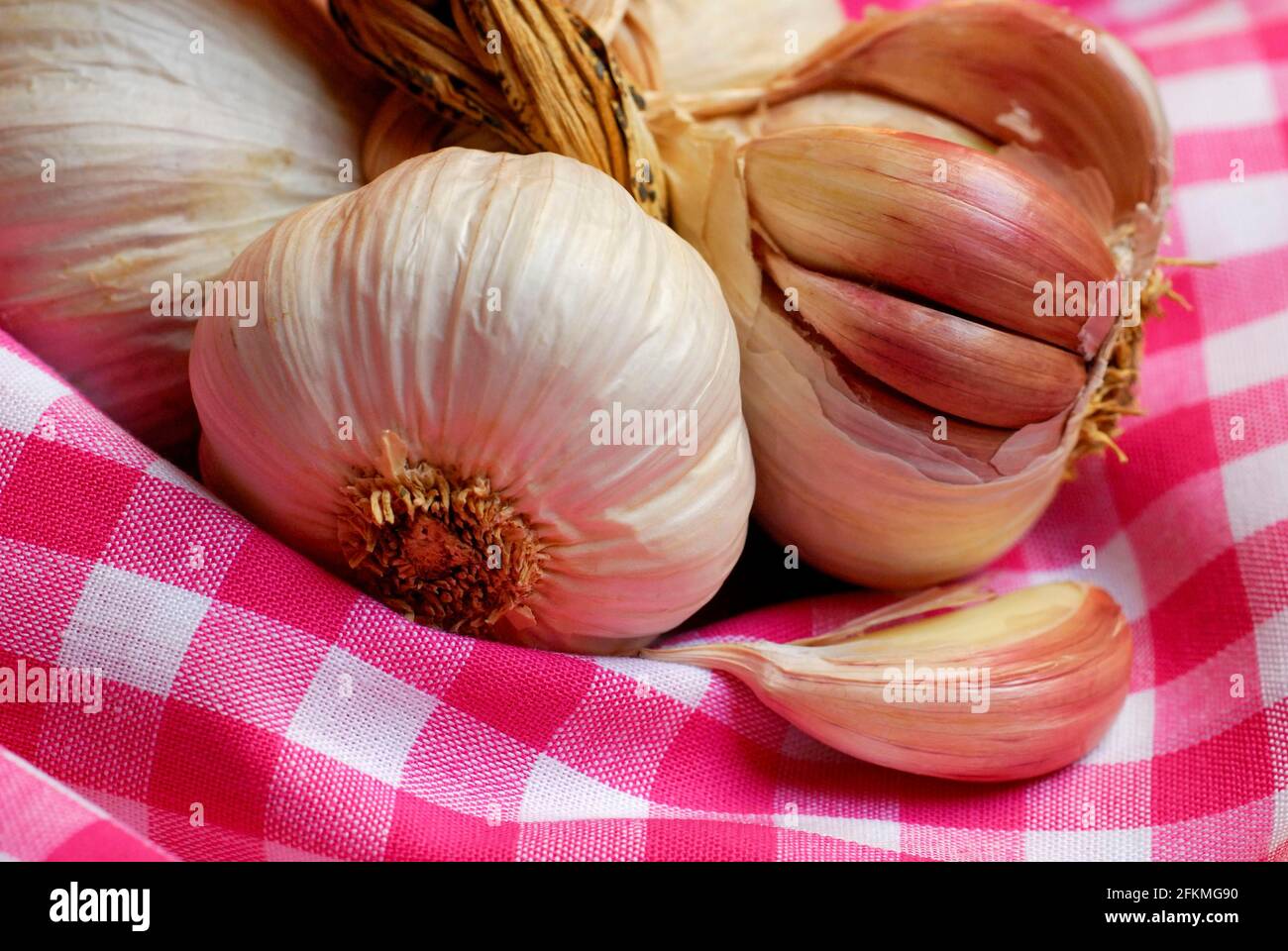 Roter Knoblauch, Aglio rosso di Nubia, Sizilien, Italien Stockfoto