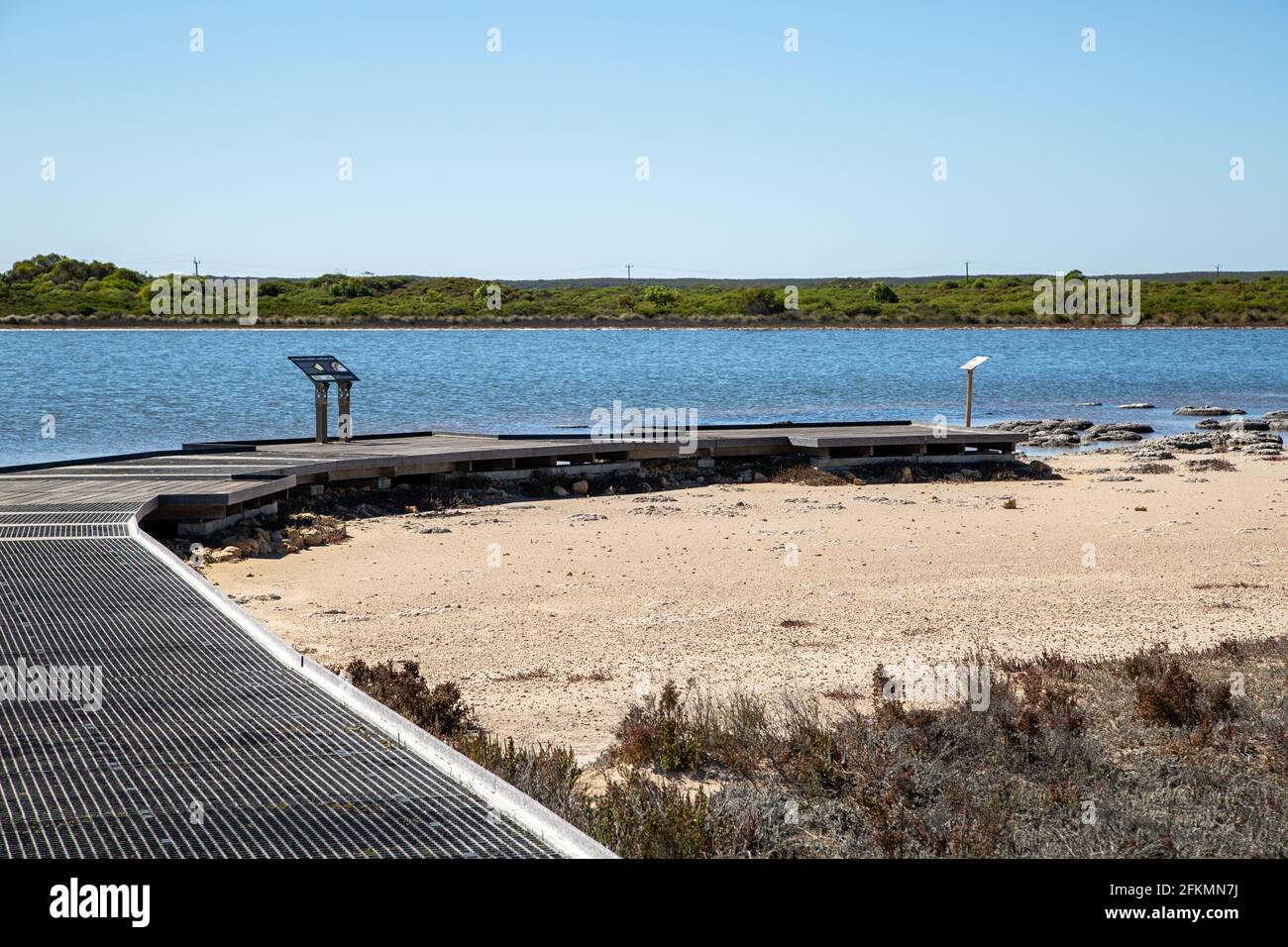 Aussichtsplattform am Lake Thetis, Cervantes für die Stromatolithen, die lebende Fossilien sind Stockfoto