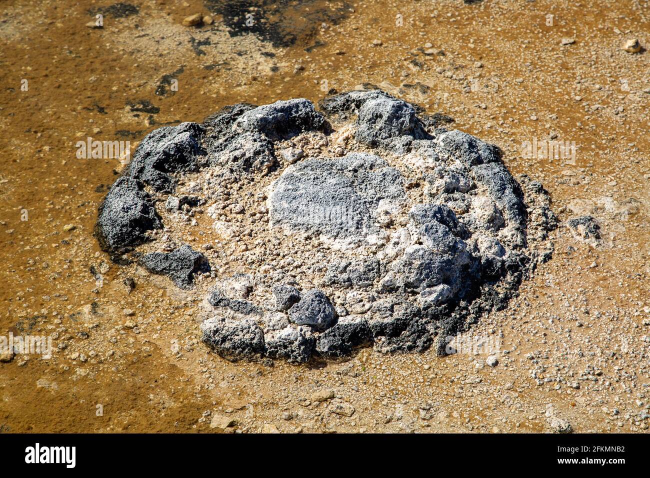 Stromatolithe am Lake Thetis, Cervantes, Westaustralien. Stromatolithen sind die ältesten lebenden Lebensformen auf unserem Planeten Stockfoto