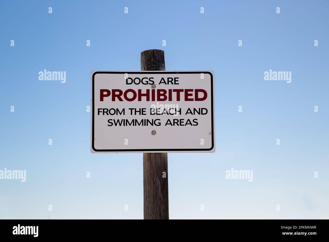 Hunde verboten am Strand und Schwimmbereiche Schild an Holzpfosten mit blauem Himmel Hintergrund Stockfoto