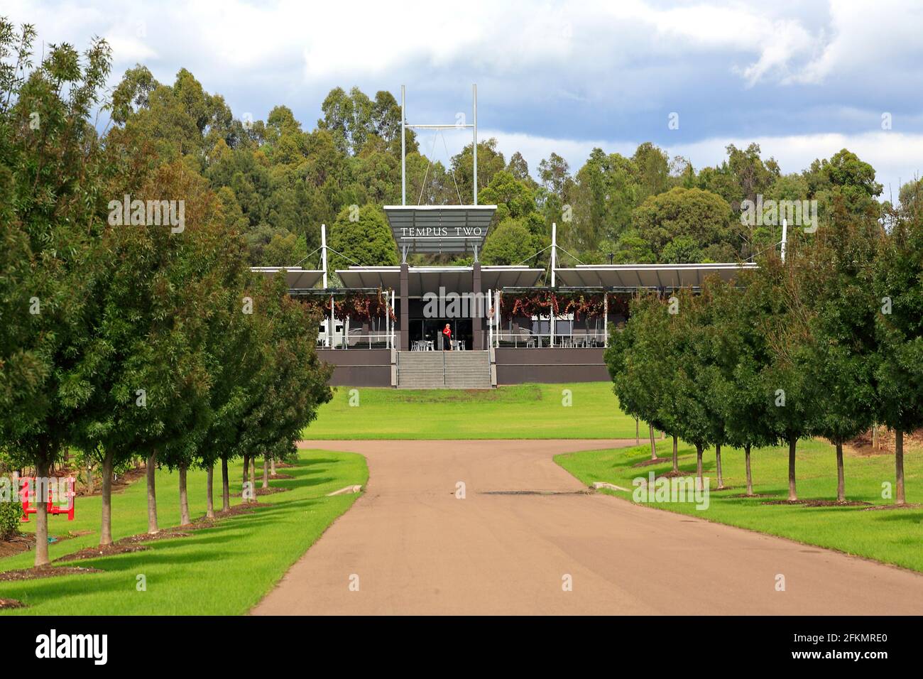 Eingangsstraße und Bäume, die zur Kellertür führen, Tempus Two Winery, Pokolbin, Hunter Valley, NSW, Australien. Da ist eine Dame in einem roten Hemd. Stockfoto