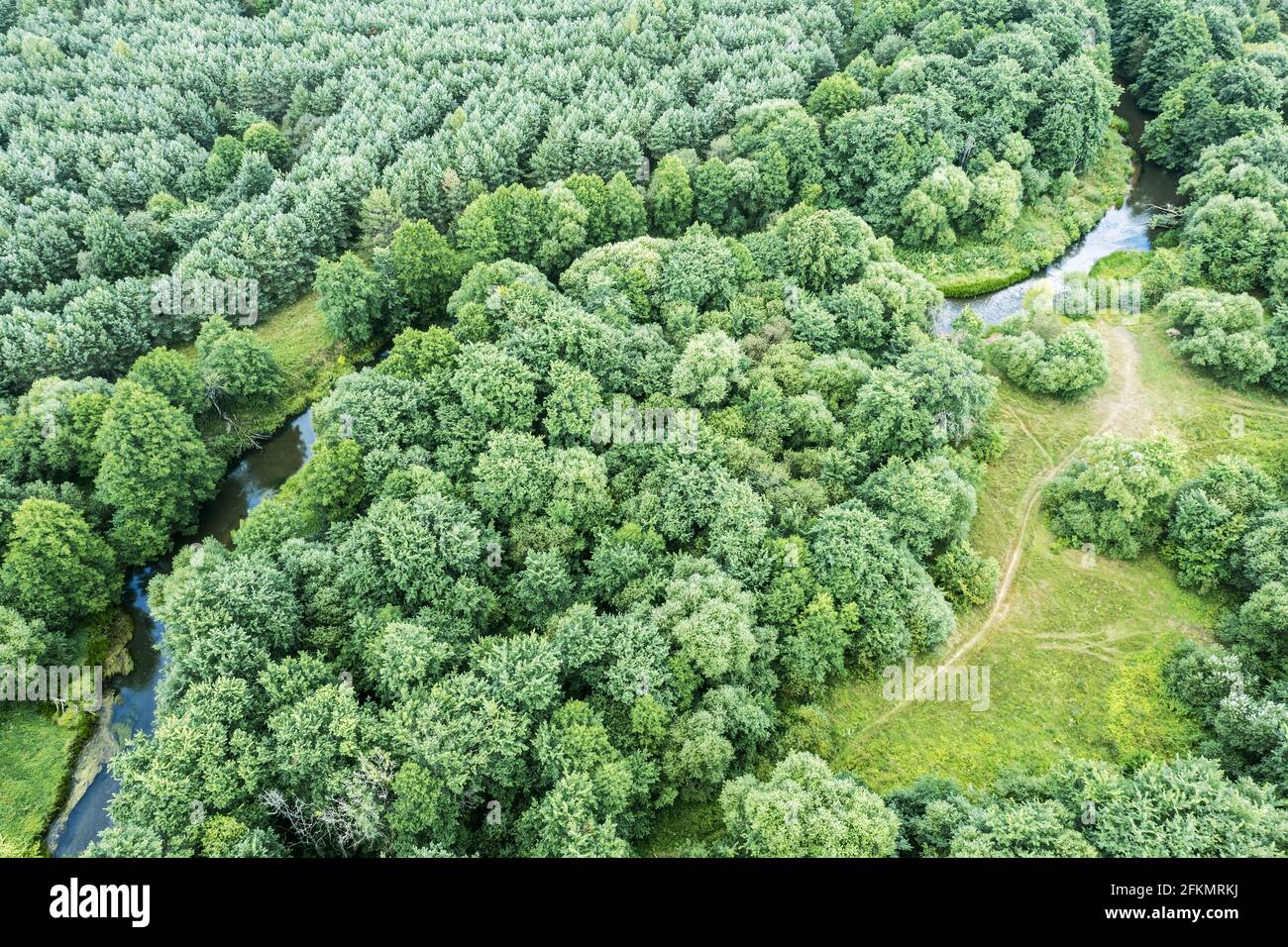 Kleiner gewundener Fluss inmitten grüner Wälder. Luftaufnahme von fliegender Drohne Stockfoto