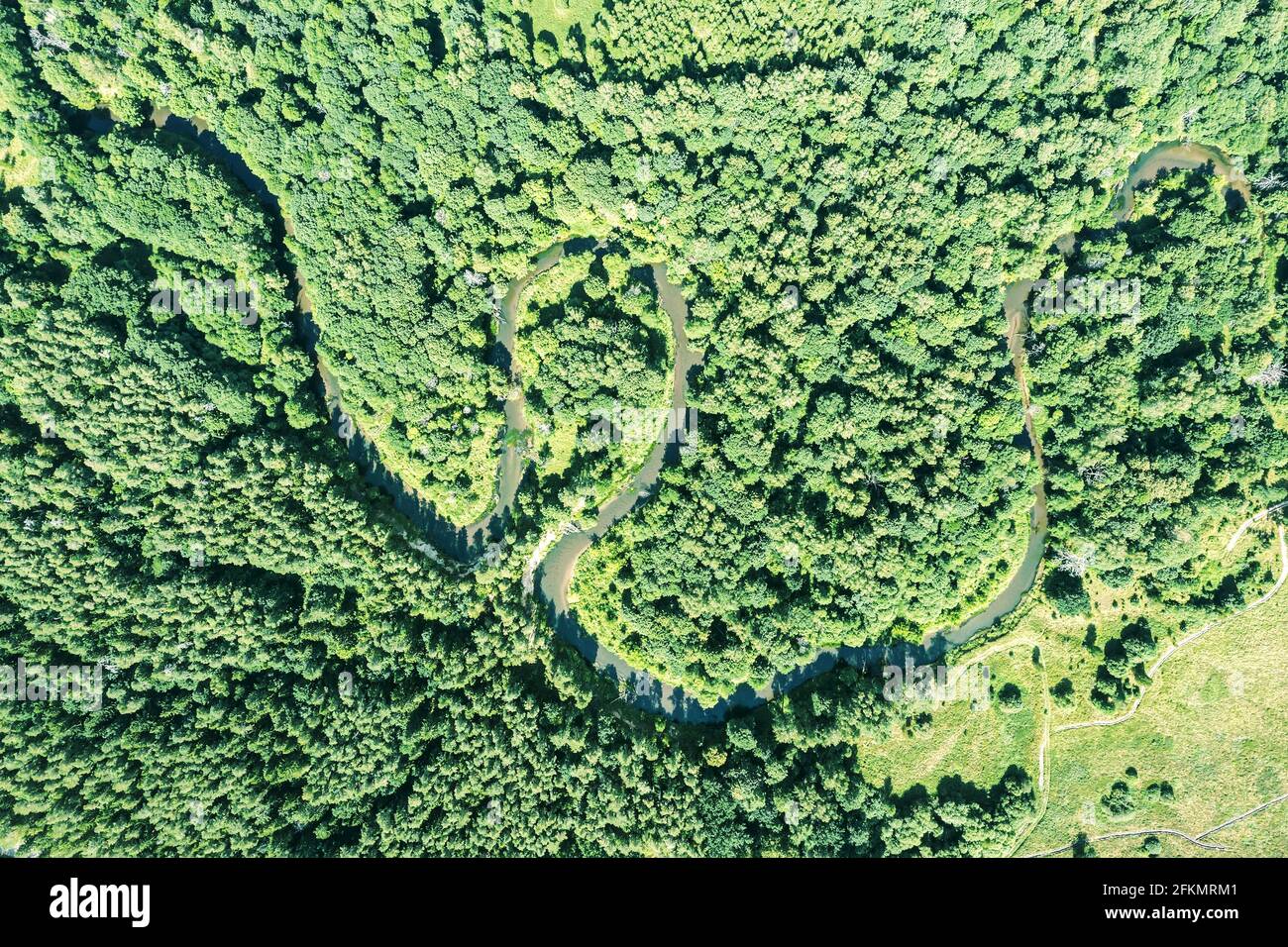 Kleiner gewundener Fluss, umgeben von grünem Wald. Luftaufnahme am Sommertag. Stockfoto
