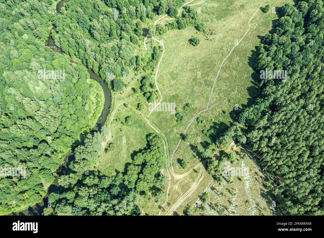 Wald mit einem gewundenen Fluss und Wiese mit Feldweg und Spuren menschlicher Aktivität. Luftaufnahme von oben Stockfoto