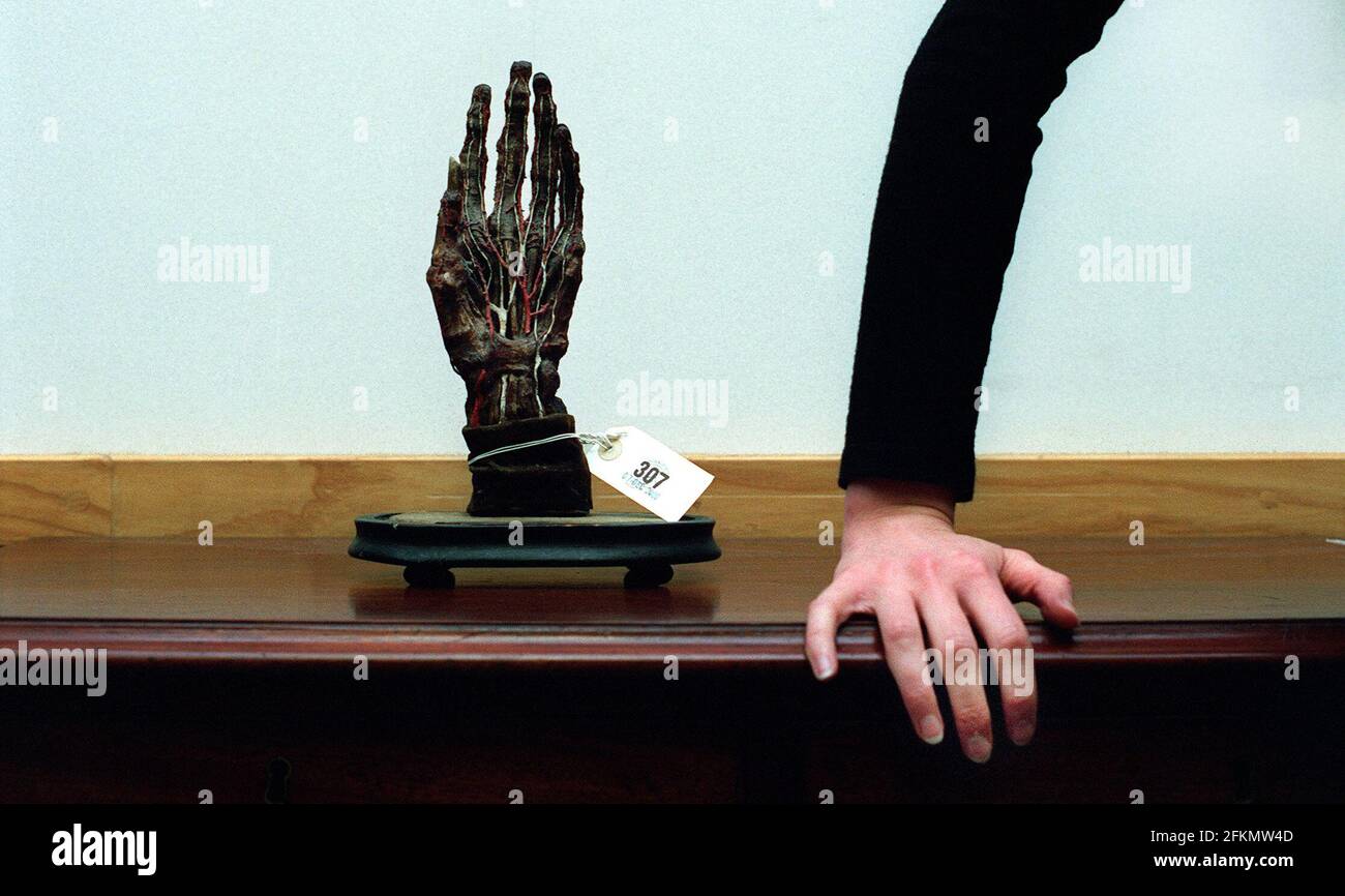 Ein seltenes Wachsmodell der menschlichen Hand aus dem 2000. Dezember, das zur Veranschaulichung der Nerven, Venen und Strukturen entwickelt wurde, komplett mit Fingernägeln, geht am Donnerstag auf der Christies-Auktion für die „Scientific and Engineering Works of Art, Medical Instruments and Models“ in den Handel Stockfoto
