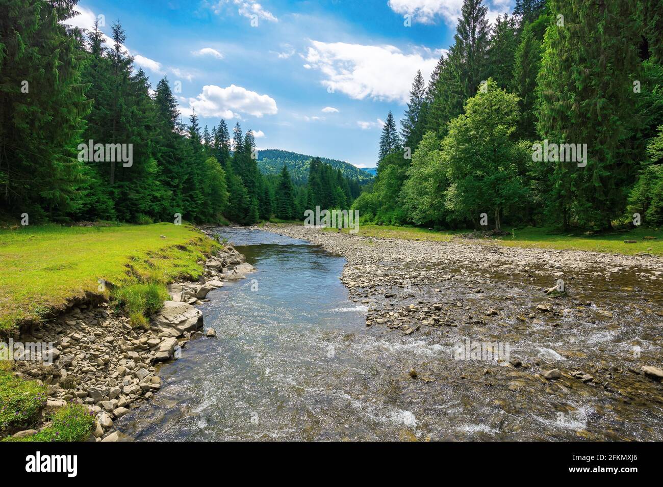 Sommerlandschaft mit Bergfluss. Wasser fließt durch das Tal zwischen grasbewachsenen Ufer mit Steinen und Fichtenwald. Sonniges Wetter mit Wolken auf den s Stockfoto