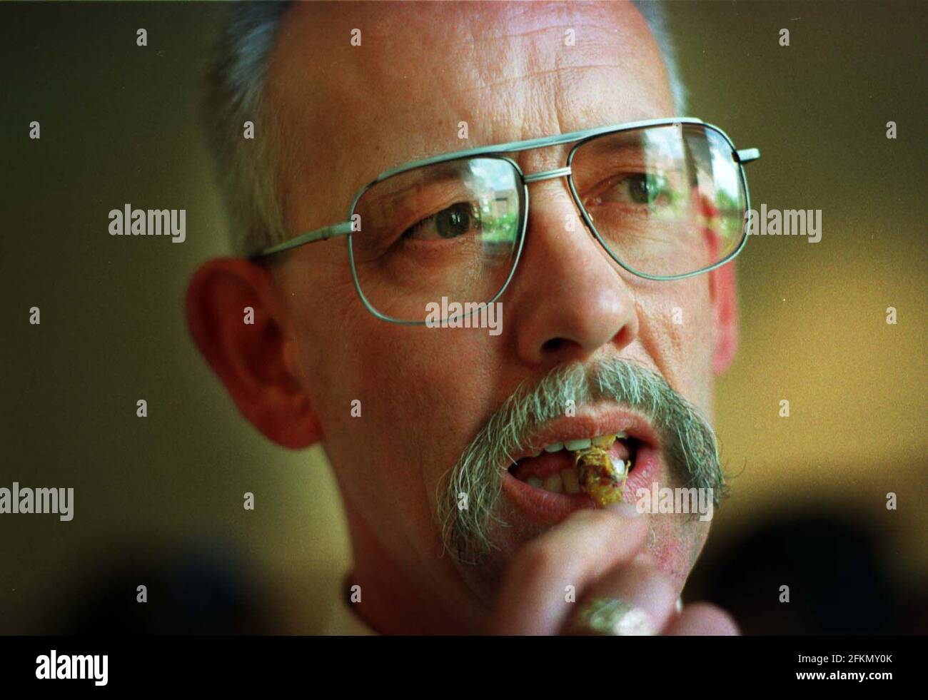 Frances Codling Eating a Locust, juli 2000 Stockfoto