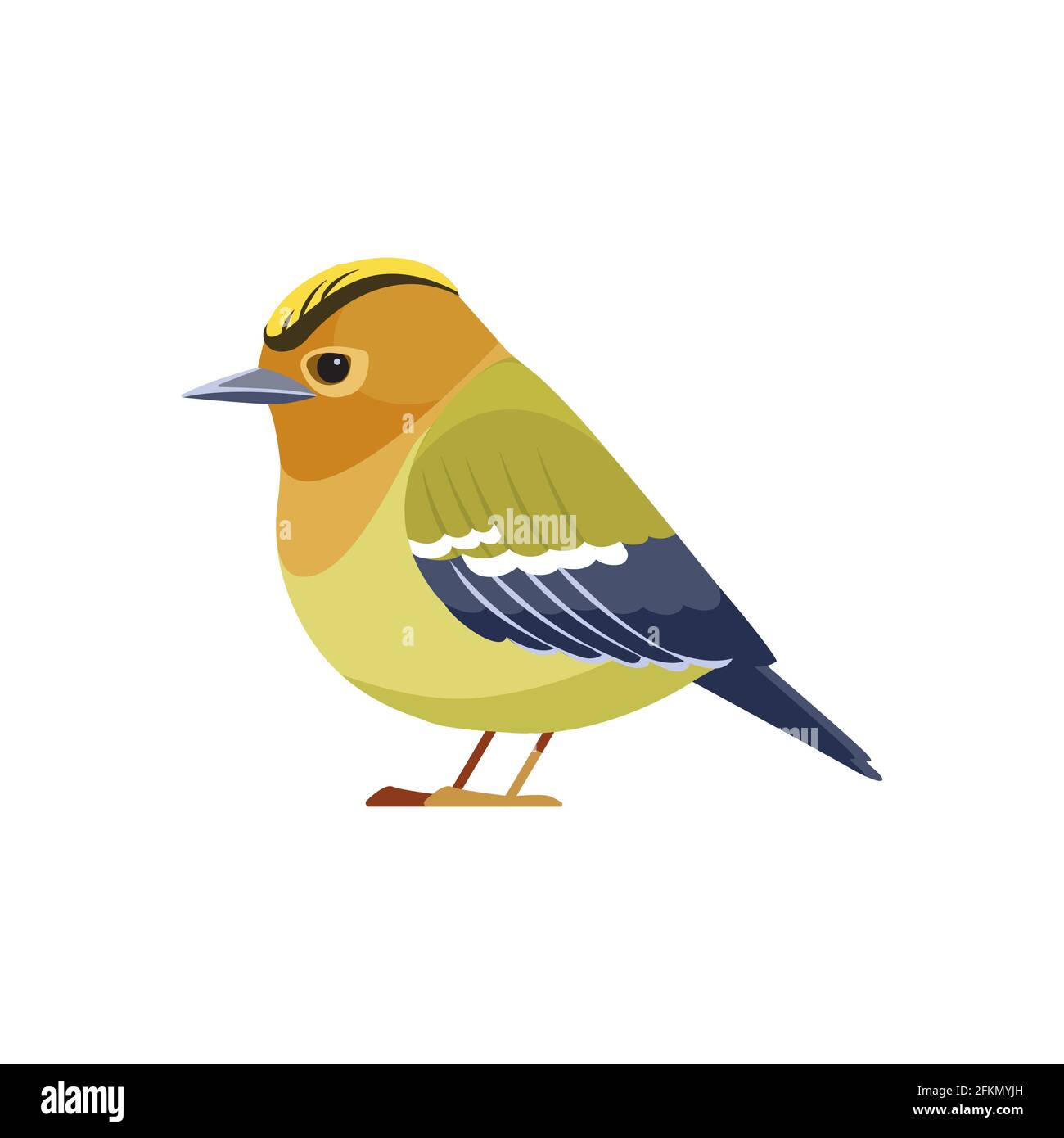 Singvogel Illustration Stockfotos Und Bilder Kaufen Alamy