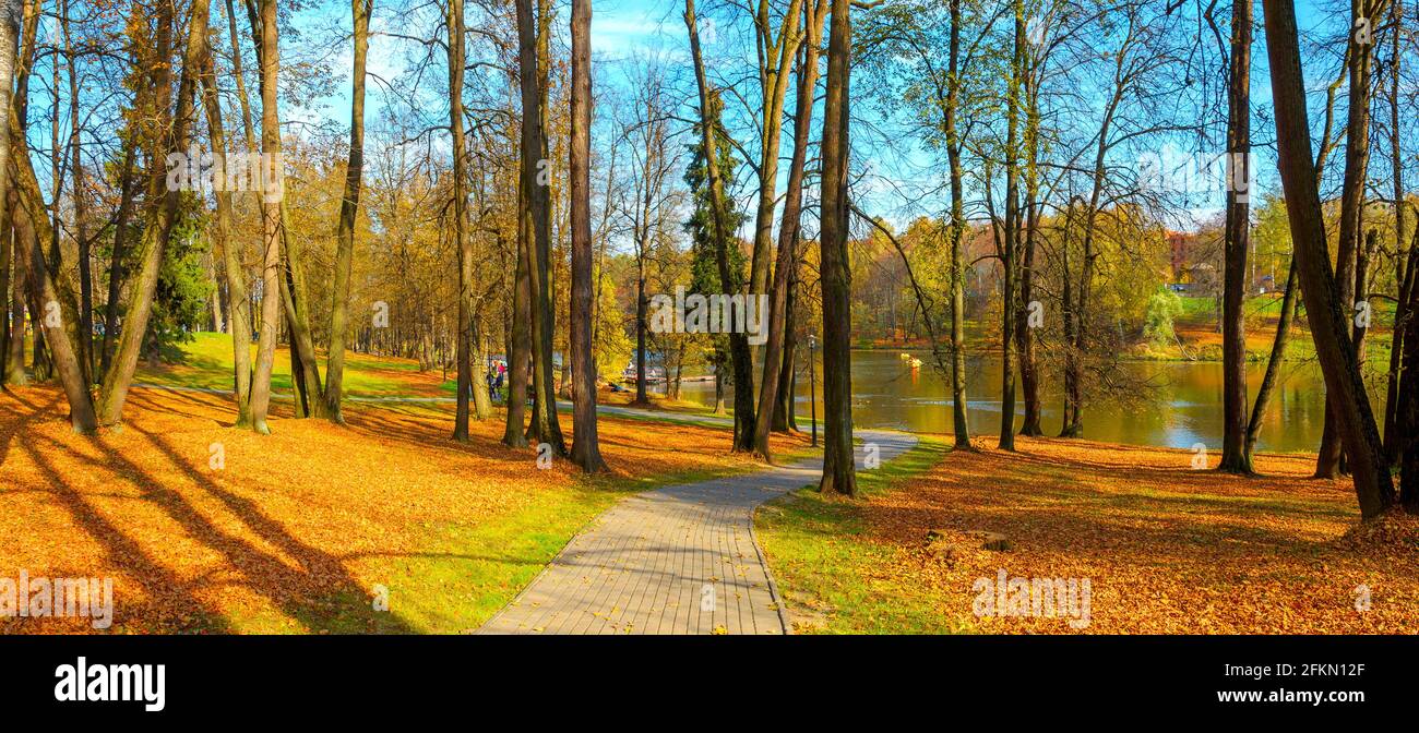Sonnige Herbst Natur Panoramalandschaft mit Straße im Stadtpark und nackten Bäumen im oktober Abend.Herbst helle Farben. Stockfoto