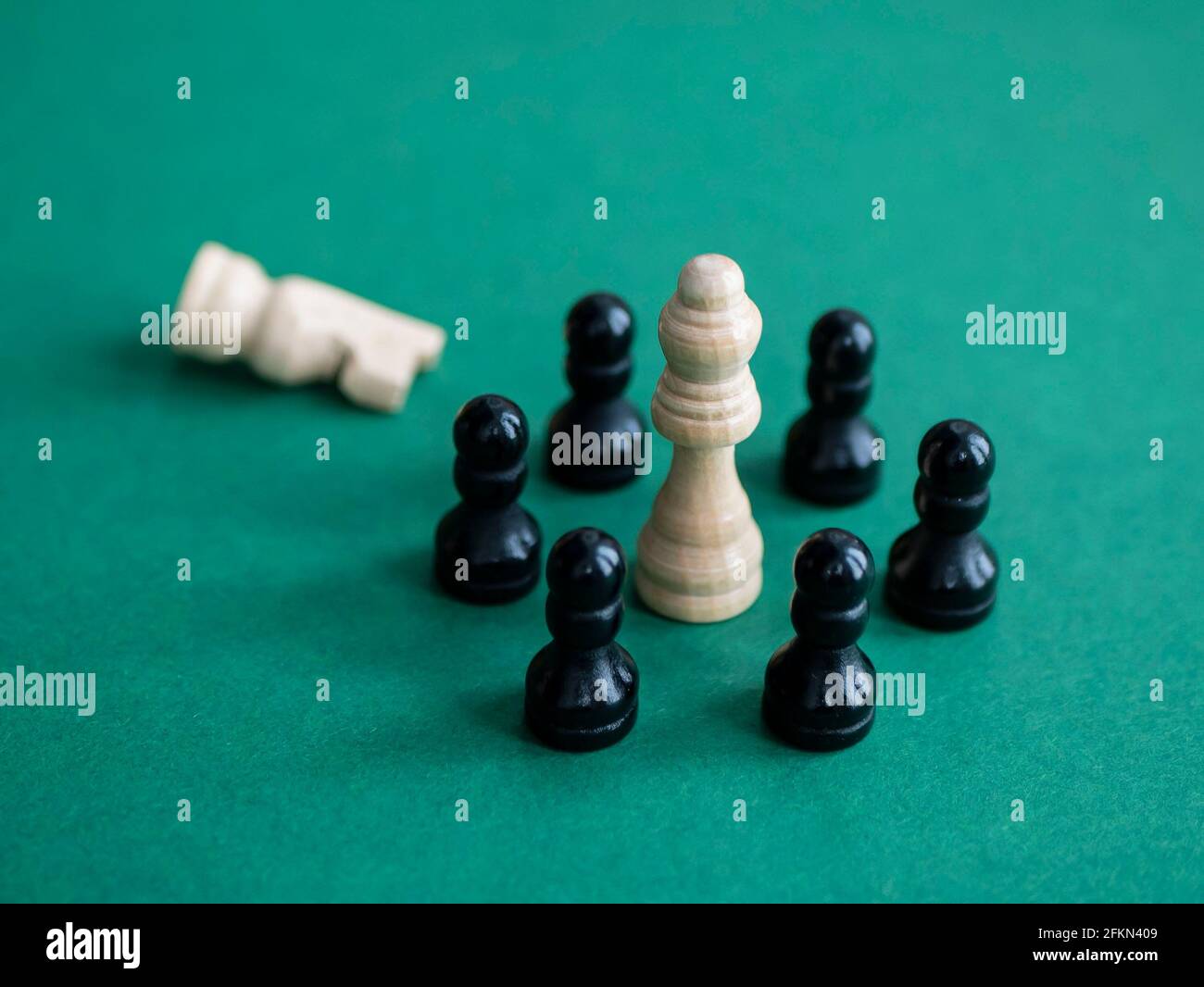 Weißes Stück fällt in eine Falle schwarzer Schachfiguren. Konzept von Stillstand, hoffnungsloser Situation, Verzweiflung Stockfoto