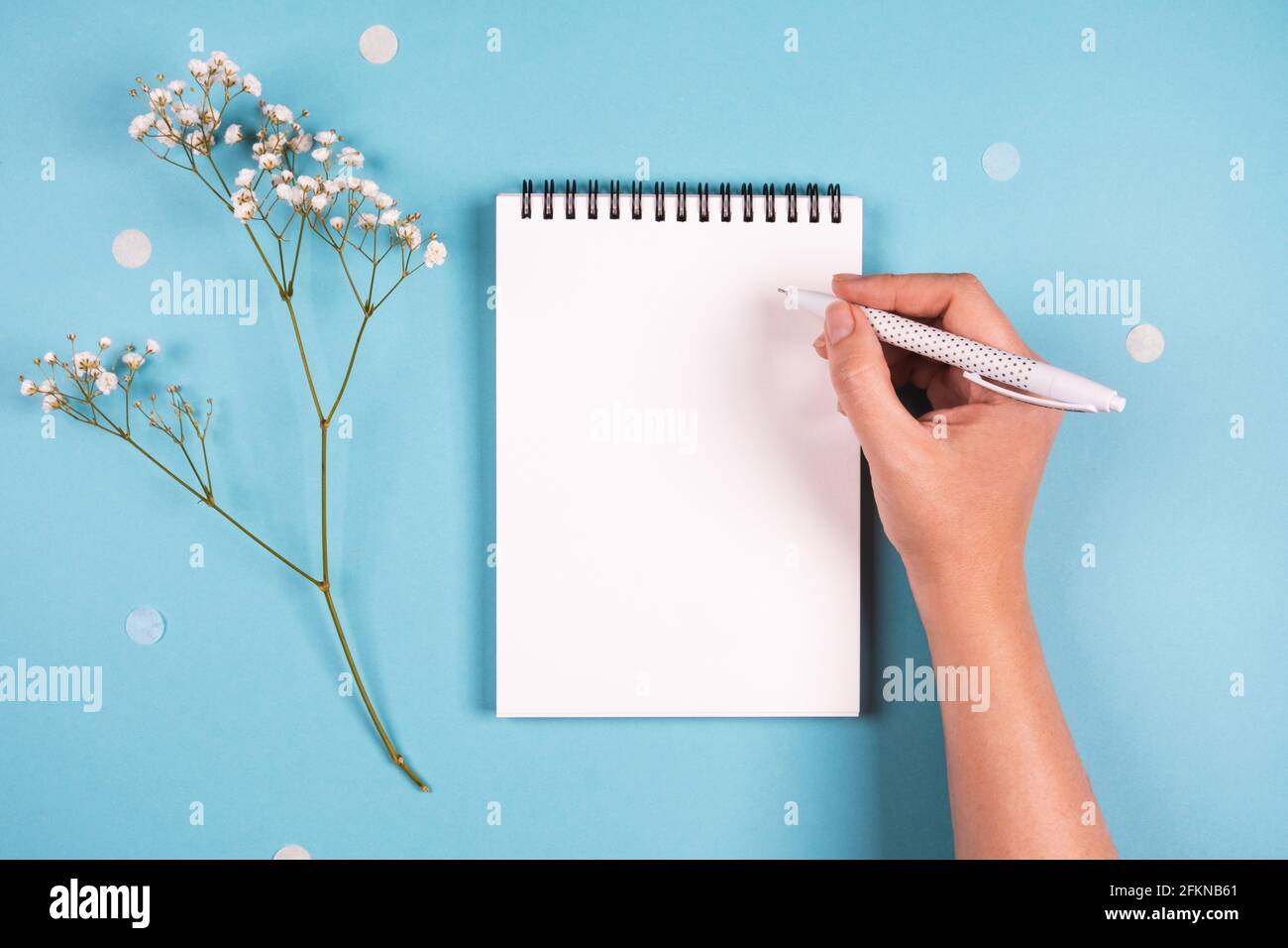 Eine Frau schreibt in einem Notizbuch, blauem Hintergrund und einem Blütenzweig. Stockfoto
