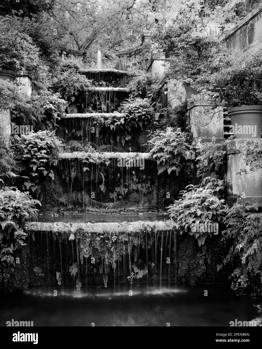 Springbrunnen im Botanischen Garten von Rom Stockfoto