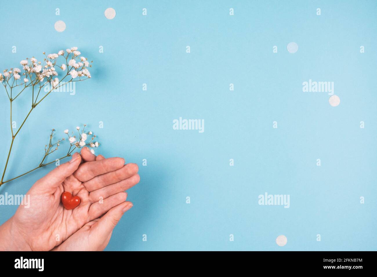 Kleines rotes Herz in weiblichen Händen auf blauem Hintergrund Mit Blumen Stockfoto