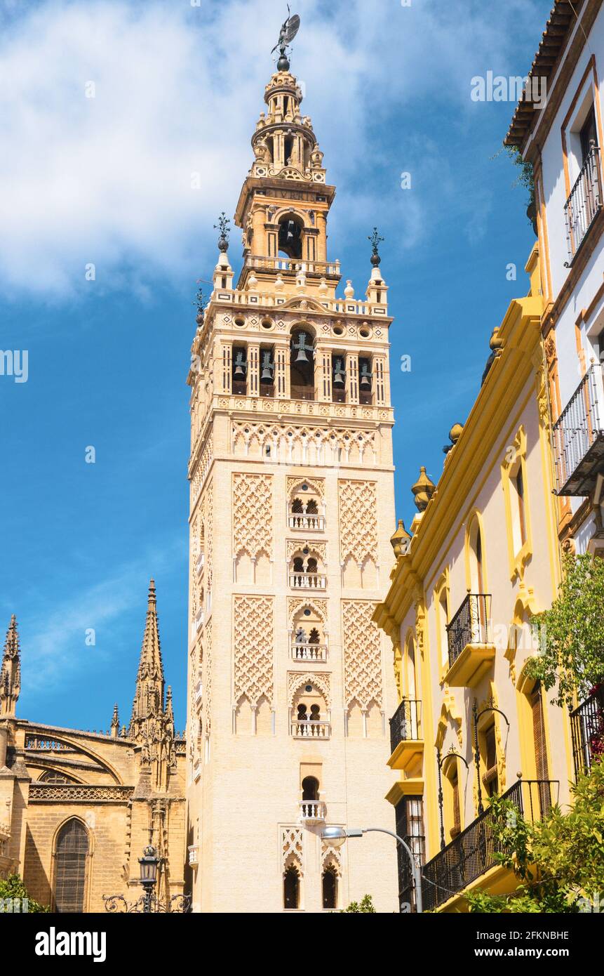La Giralda ist der Glockenturm der Kathedrale von Sevilla in Spanien, eine der größten Kirchen der Welt Stockfoto