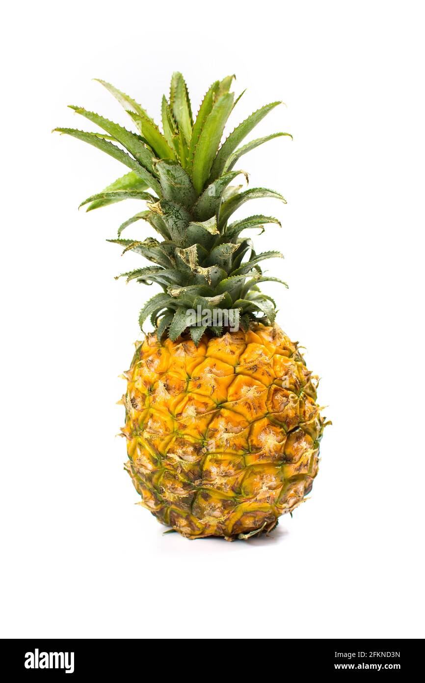 Frische Ananas Frucht isoliert auf weißem Hintergrund Stockfoto