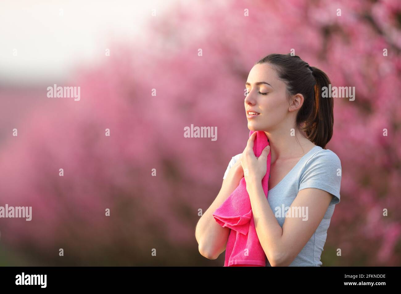 Erschöpfter Läufer trocknet nach dem Lauf den Schweiß mit einem rosafarbenen Handtuch aus In einem Feld Stockfoto