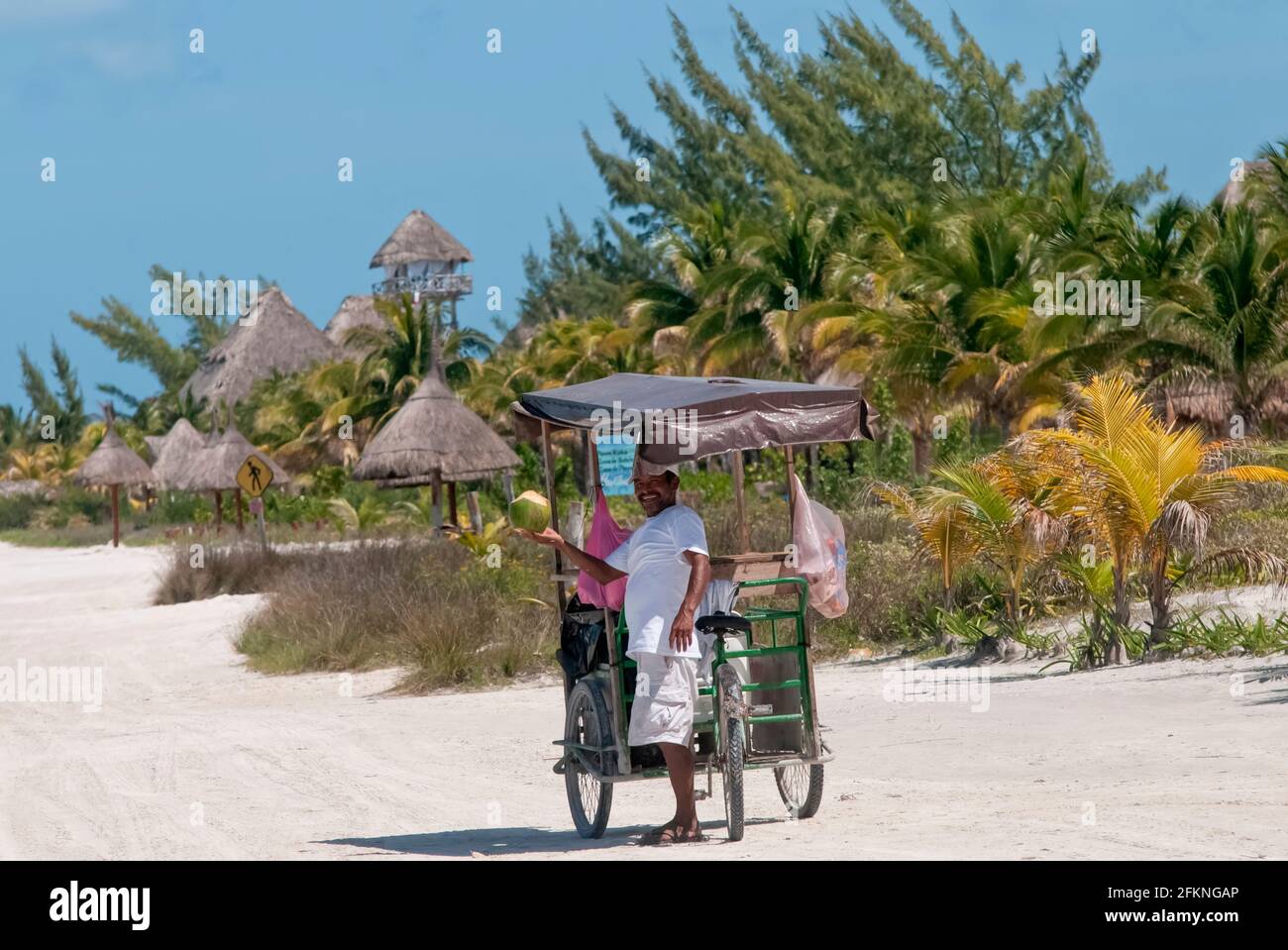 Ein Mann mit einem Dreirad verkauft Kokosnüsse am Strand Auf Holbox Island in Mexiko Stockfoto