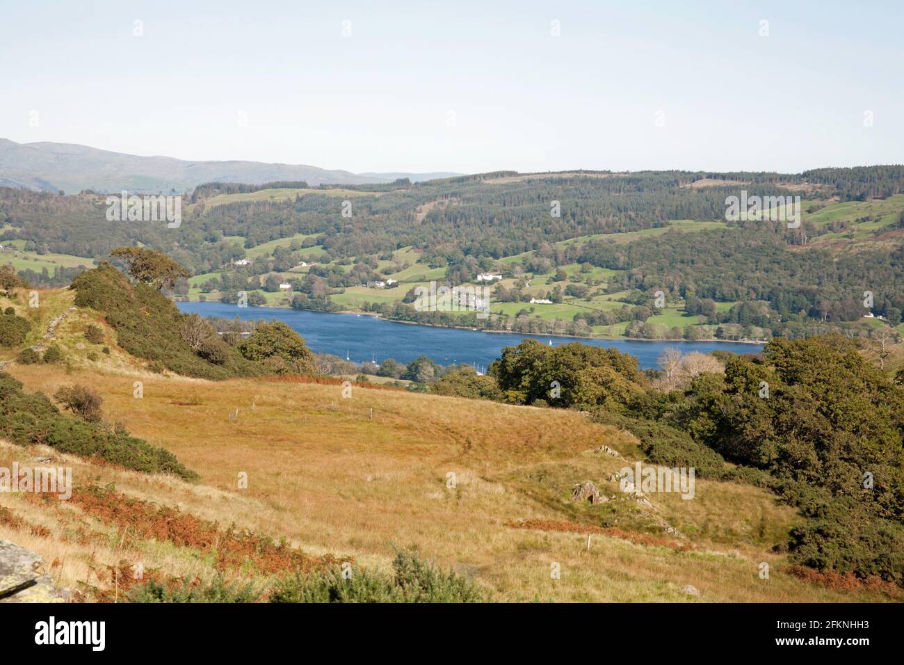 Coniston Wasser von oben gesehen Bleathwaite Weide Coniston Lake District Cumbria England Stockfoto