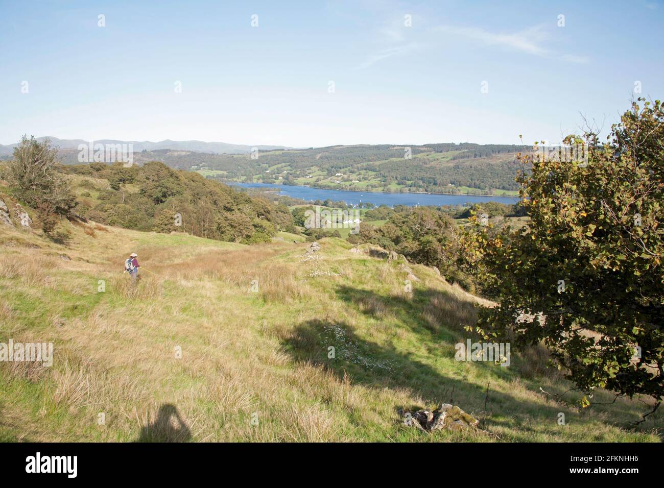 Coniston Wasser von oben gesehen Bleathwaite Weide Coniston Lake District Cumbria England Stockfoto