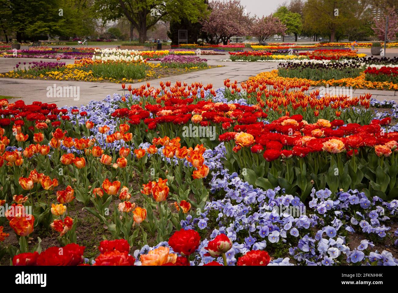 Der Rheinpark im Stadtteil Deutz, Naherh, Naherh, Naherh, Naherh Stockfoto