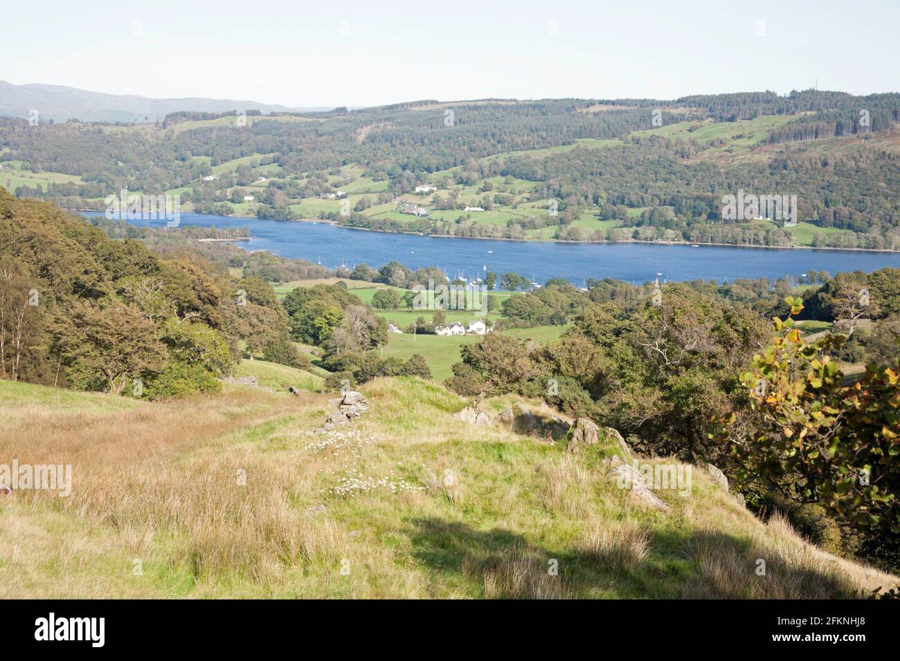 Coniston Wasser von oben gesehen Bleathwaite Weide Coniston Lake District Cumbria England Stockfoto