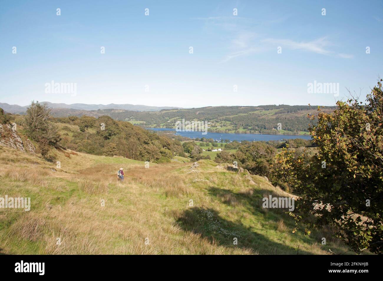 Coniston Wasser von oben gesehen Bleathwaite Weide Coniston Lake District Cumbria England Stockfoto
