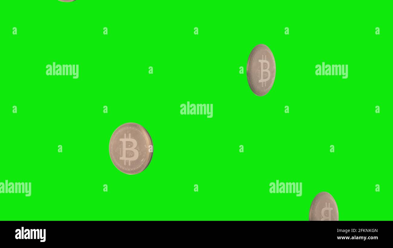 Bitcoin-Regen. Bitcoins fallen auf einen grünen Bildschirm. 3d-Rendering Stockfoto