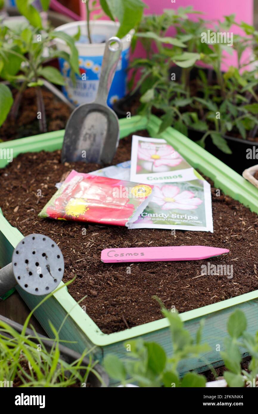 Blumensamen im boden Fotos und Bildmaterial in hoher Auflösung Alamy