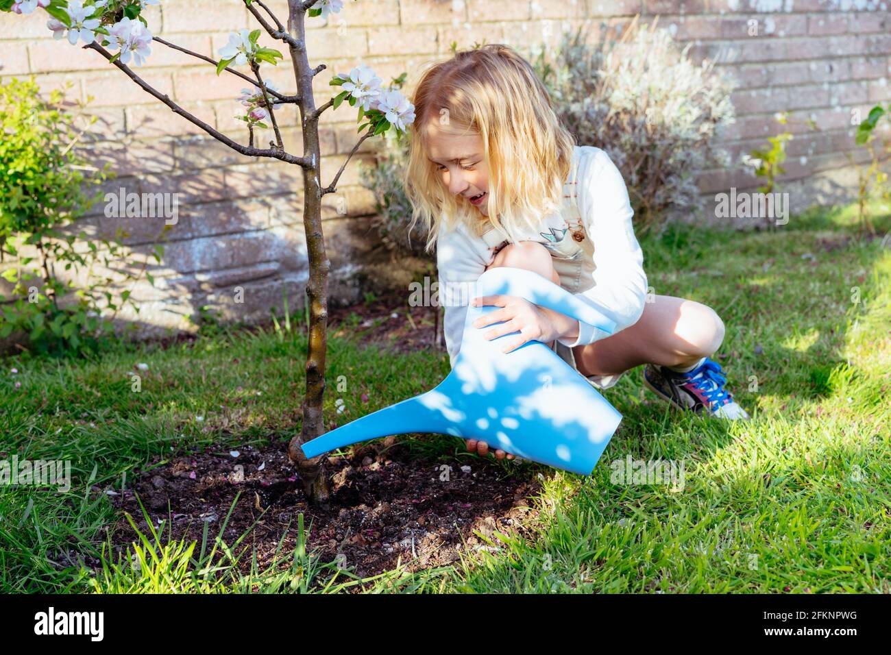 Kleines Mädchen gießt blühenden Baum mit Gießkanne im Garten. Kind hilft ihren Eltern, sich um Pflanzen zu kümmern. Früchte im Garten anbauen. Kinderz Stockfoto