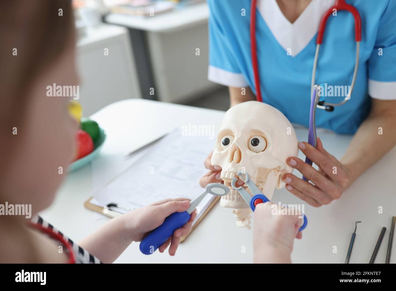 Kleines Mädchen, das mit Kindern Zähne aus dem künstlichen Schädel herauszieht Nahaufnahme von zahnmedizinischen Instrumenten Stockfoto
