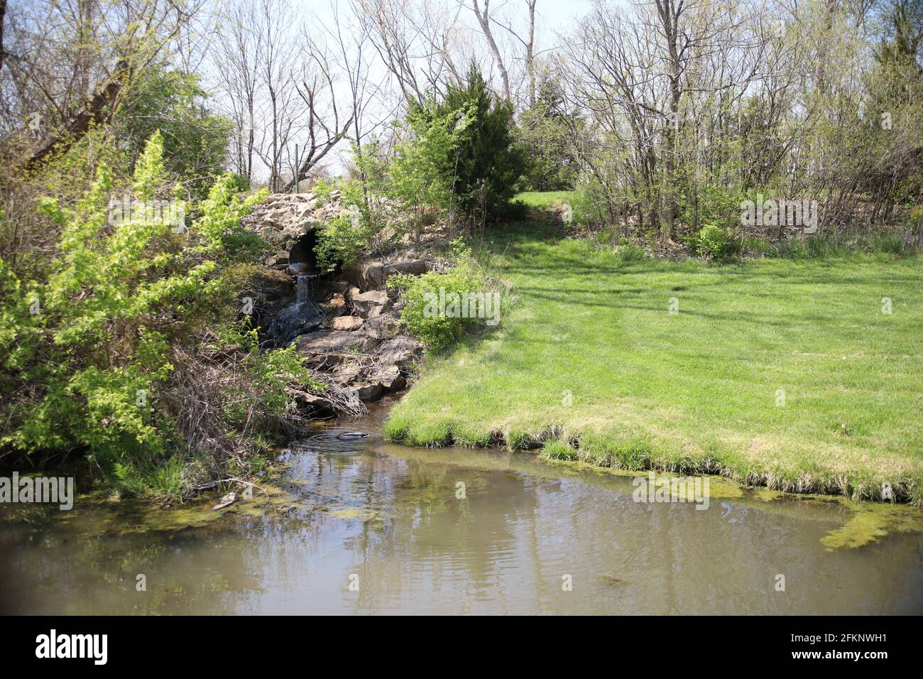 Teich umgeben von viel Grün im Overland Park Arboretum in Kansas, USA Stockfoto