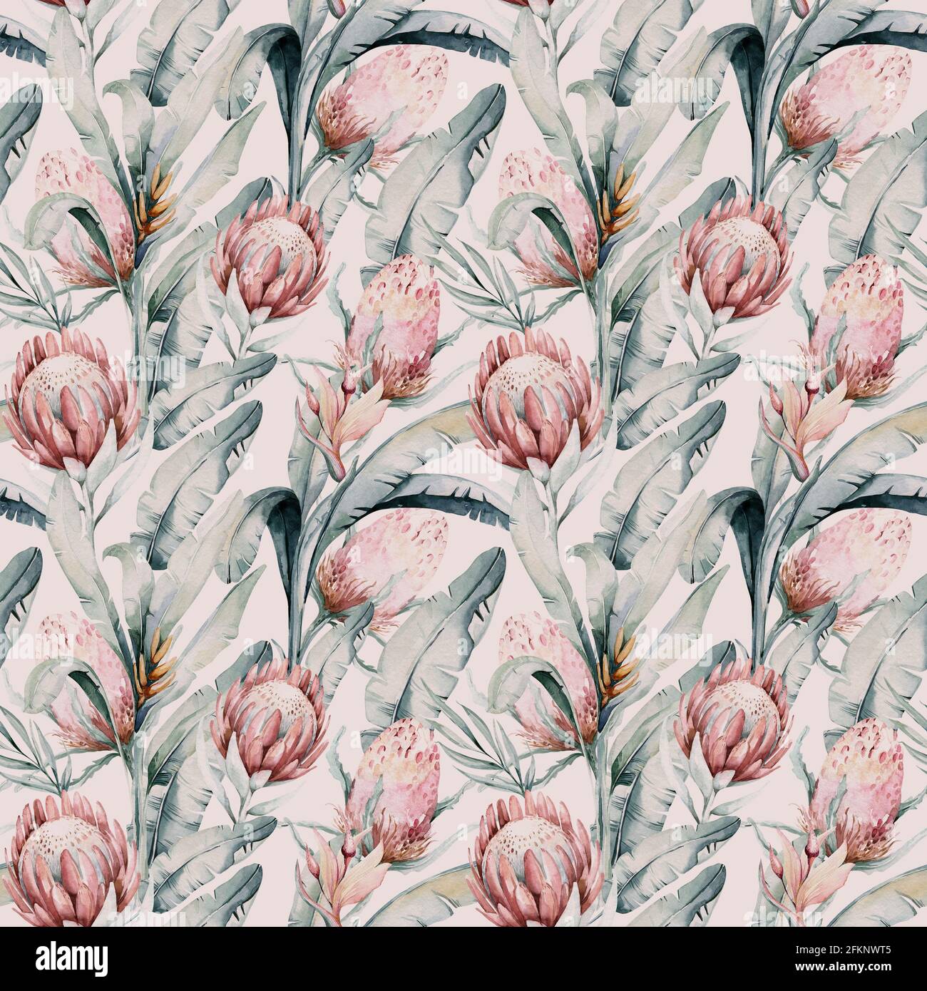 Protea nahtlose Muster Blume. Aquarell tropische Blätter, handbemalte Illustration von exotischen floralen Elementen Hintergrund, kann für Gruß c verwendet werden Stockfoto