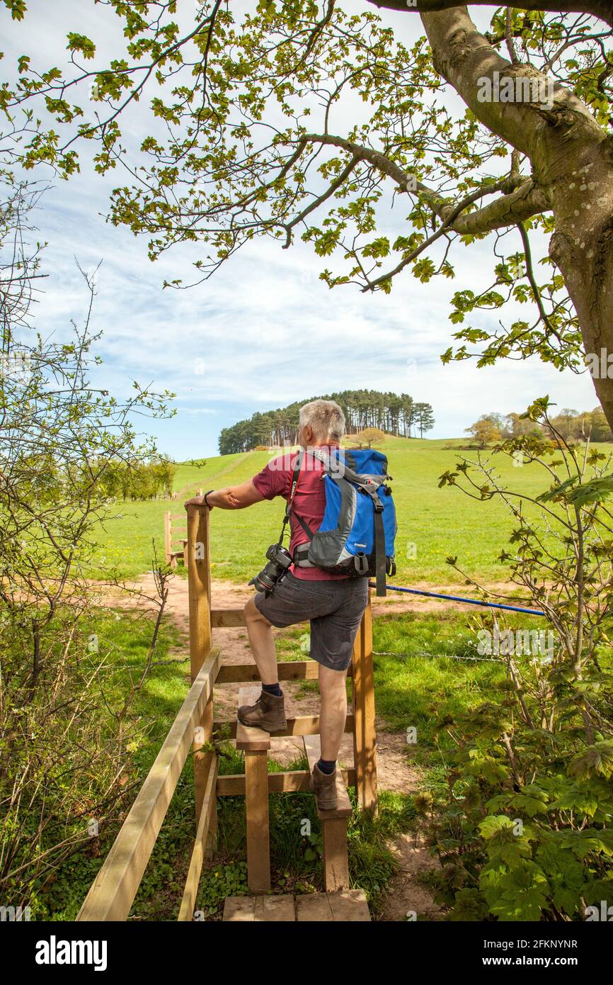 Mann, der auf dem englischen Land in Bickerton mit dem Rucksack unterwegs ist Hills South-Hésihire England Stockfoto