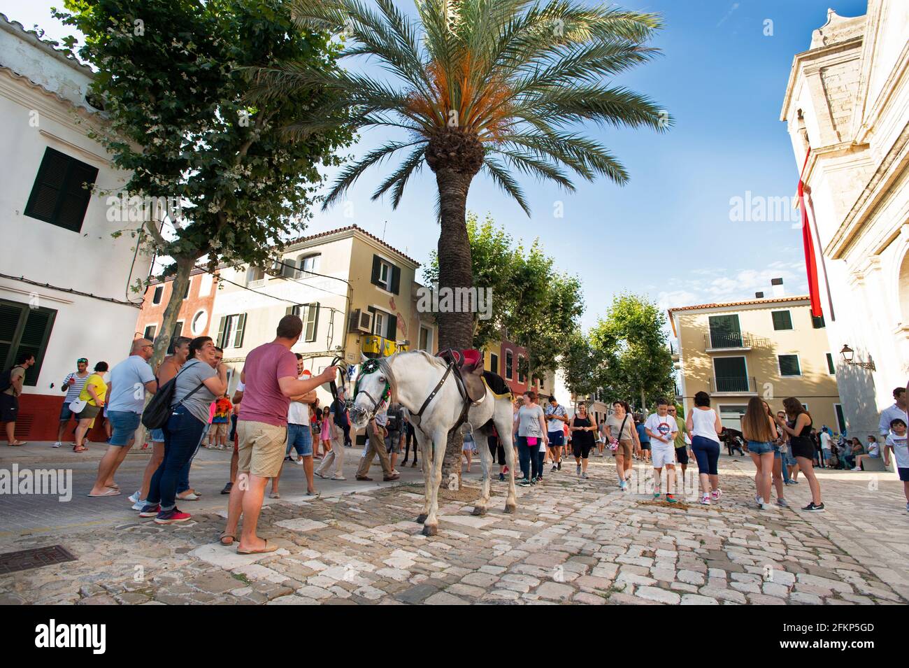 festpferde werden gepflegt, während ihre Reiter eine besuchen kirche Segen in es castell vor dem Beginn der festival von St. joan menorca Stockfoto