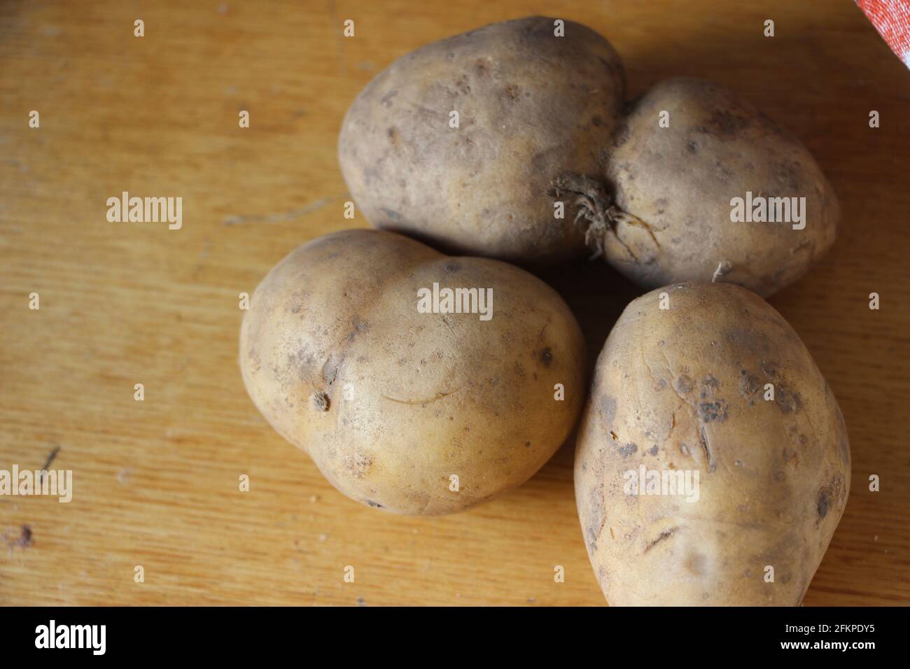 Frische Bio-Kartoffel auf Tablett auf dem Bauernmarkt, selektiver Fokus. Ein Haufen Bio-Kartoffeln in einem Tablett liegen Stockfoto