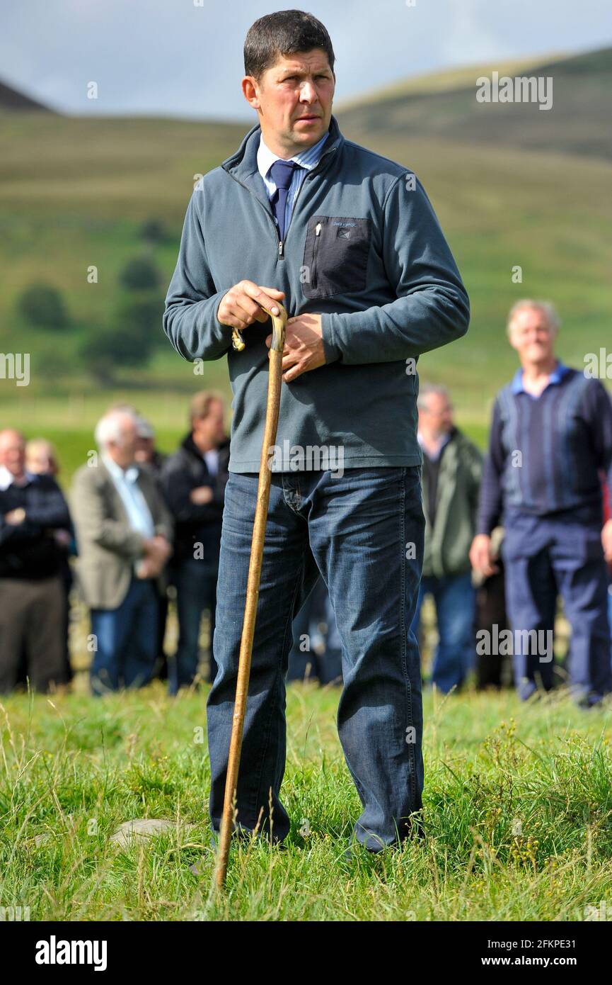 Farmers looking at Sheep at a Farm open day at Midlock Farm, Scotland, UK. Stockfoto