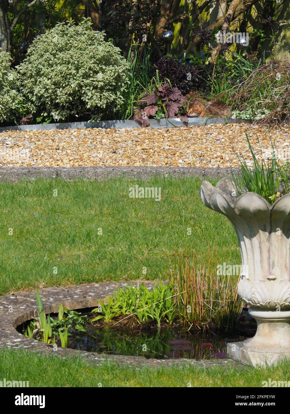 Ein kleiner runder Teich in einem gepflegten, attraktiven Garten Stockfoto
