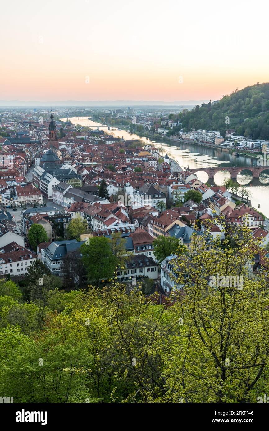 Heidelberger Panorama mit Altstadt, alter Brücke und Neckar an einem sonnigen Frühlingsabend, senkrecht Stockfoto