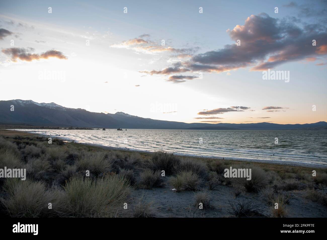 Die Sandtufas am Navy Beach von Mono Lake, Mono County, CA, USA, wurden unter Wasser gebildet und sind zerbrechlich. Stockfoto