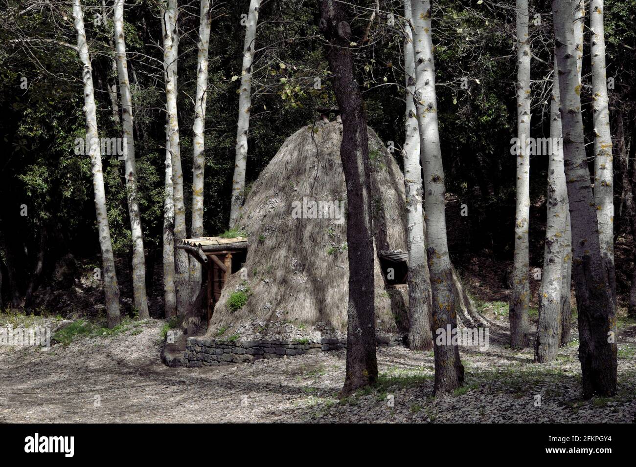 Traditionelle Kultur in Sizilien alten Schutz von Hirten oder Holzkohle Brenner, die wie ein Kegel zwischen den Bäumen auf den Bergen geformt sind Des Ätna-Parks Stockfoto